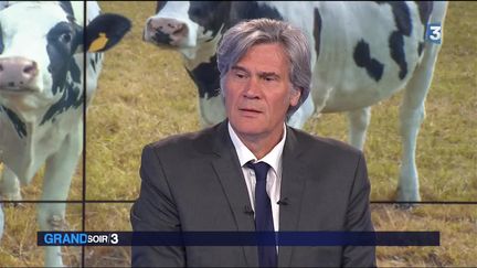 Crise du lait : Stéphane Le Foll veut rassurer les éleveurs