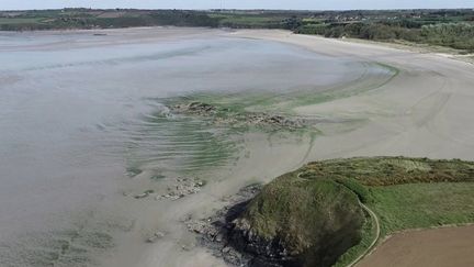 Bretagne : les algues vertes prolifèrent depuis sept mois dans la baie de Saint-Brieuc