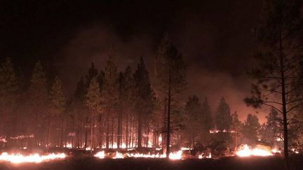 Un feu de forêt dans l'Etat de l'Oregon aux Etats-Unis le 15 juillet 2021. (JASON PETTIGREW / BOOTLEG FIRE INCIDENT COMMAND / AP)