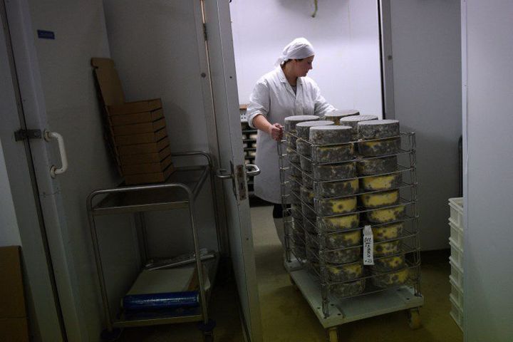 Daniela Welch en train de ranger des meules de fromage de Gloucester, le 9 février 2017 dans l'unité de production de Charles Martell and Sons Ltd à Dymock (Gloucestershire). (AFP - OLI SCARFF)