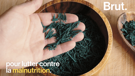 Riche en protéines, en antioxydants, en fer et en vitamines, ce super-aliment est utilisé en Afrique pour lutter contre la malnutrition. Son nom : la spiruline.