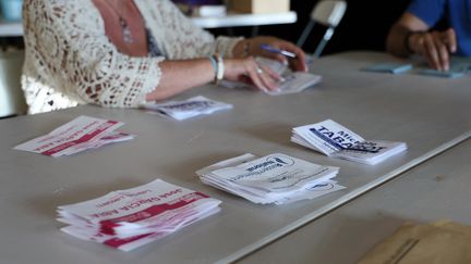 Dans un bureau de vote de Pegomas (Alpes-Maritimes), le 30 juin 2024. (ERIC DERVAUX / HANS LUCAS / AFP)