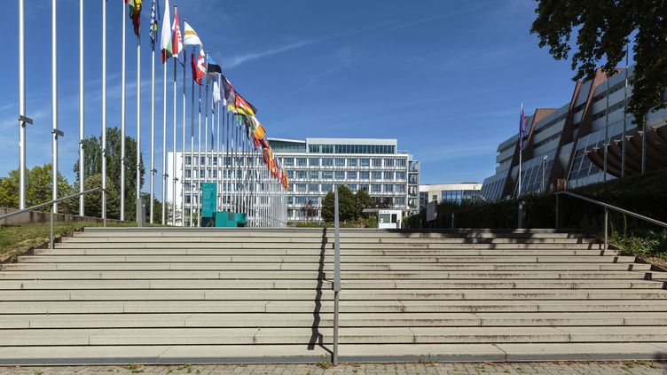 The headquarters of the Council of Europe in Strasbourg (Bas-Rhin).  (ESCUDERO PATRICK / HEMIS.FR / AFP)