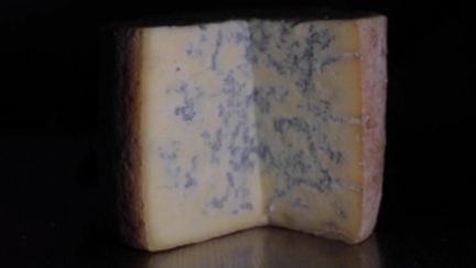 Fromage : à la découverte de la fourme de Montbrison, une spécialité de la Loire&nbsp; (France 2)