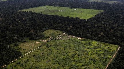 Nicolas Bourcier, correspondant du Monde au Brésil, le puissant lobby agricole au Parlement, celui des ruralistas, a pesé de tout son poids pour assouplir le code forestier d'origine, adopté en 1965. Ce texte est considéré comme l'un des plus rigoureux au monde. (Reuters/Nacho Doce)