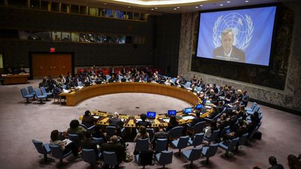 &nbsp; (Le Conseil de sécurité de l'ONU au mois d'octobre 2014. © Reuters)