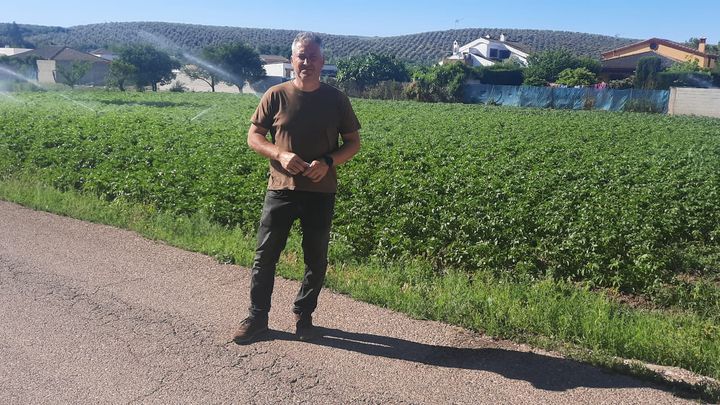 Antonio Carmona est producteur de tomates, près de Cordoue (Espagne). (OMAR OUAHMANE / RADIOFRANCE)