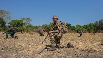 Soldats de l'armée britannique déployés au Malawi pour lutter contre le braconnage. (AMOS GUMULIRA / AFP)