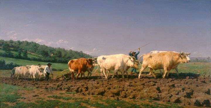 Rosa Bonheur (1822-1899), "Labourage nivernais", dit aussi "Le sombrage", 1849, musée d’Orsay Photo&nbsp; (© Musée d'Orsay, Dist. RMN-Grand Palais / Patrice Schmidt)