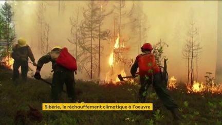 Climat : les forêts de Sibérie brûlent