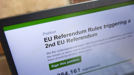 La pétition en ligne sur le site du Parlement britannique pour réclamer un second referendum sur le Brexit a recueilli plusieurs millions de signatures.&nbsp; (JUSTIN TALLIS / AFP)