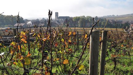 &nbsp; (Le village de Pommard, photographié des vignes du 1er cru "Charmots" © RADIOFRANCE/ Guillaume Gaven)