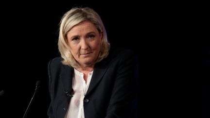 La présidente du Front national, Marine Le Pen, lors d'un meeting à Nice, le 27 novembre 2015. (MAXPPP)