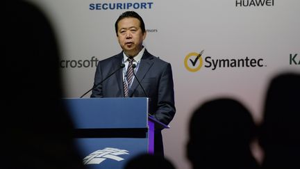 Le président d'Interpol, Meng Hongwei, le 4 juillet 2017, lors du congrès de l'organisation, à Singapour. (ROSLAN RAHMAN / AFP)