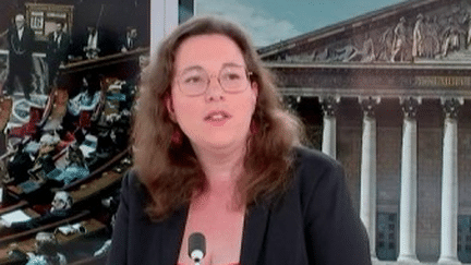 Discours de politique générale : la présidente du groupe écologiste à l'Assemblée, Cyrielle Chatelain, regrette que l'écologie soit "une très grande absente" (franceinfo)