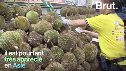 En Asie, le durian est un fruit très convoité mais sa production entraîne une déforestation effrénée en Malaisie.