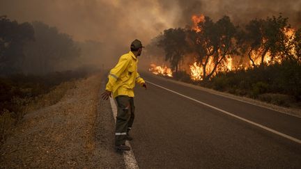 Un garde-forestier lors d'un feu de forêt&nbsp;dans la région de Larache, le 15 juillet 2022. (FADEL SENNA / AFP)