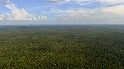 Vue aérienne de la jungle colombienne.
 (AFP PHOTO / LUIS ACOSTA)