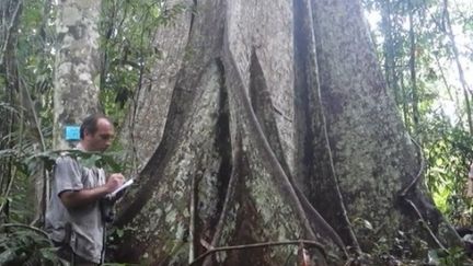 50 scientifiques recensent la biodiversité en Guyane