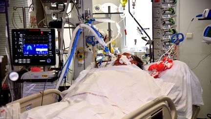 Un patient dans le service réanimation Covid-19 de l'Hôpital Nord de Marseille, le 14 octobre 2020. (GEORGES ROBERT / PHOTOPQR /LA PROVENCE/ MAXPPP)