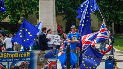 Des manifestants anti-Brexit, à Londres (Royaume-Uni), le 5 juin 2018. (Alex Cavendish / NurPhoto / AFP)