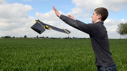Un drone est lancé au dessus d'un champ sur la commune de Caulières (Somme) pour mesurer sa productivité, le 6 mai 2014. (DENIS CHARLET / AFP)