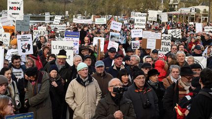  (Des milliers de manifestants ont protesté samedi contre un projet d'extraction de sable © Maxppp)