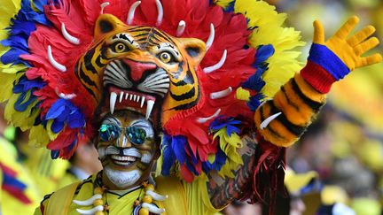 Ce fan colombien, photographié à Saransk en marge du match Colombie-Japon, n'a pas lésiné sur les moyens. (MLADEN ANTONOV / AFP)