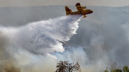 Un Canadair CL-415 de la Sécurité civile, au-dessus de la forêt près de Gignac, dans le Vaucluse, le 26 juillet 2022. (SYLVAIN THOMAS / AFP)