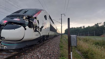 A TGV hit a tree that had fallen onto the tracks in Saint-Florentin (Yonne), on July 31, 2024. (SNCF RESEAU / X)