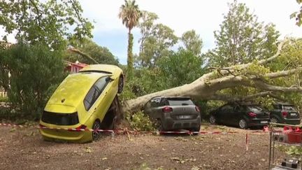 Canicule, sécheresse, orages : un été 2022 qui préfigure les prochaines années ?