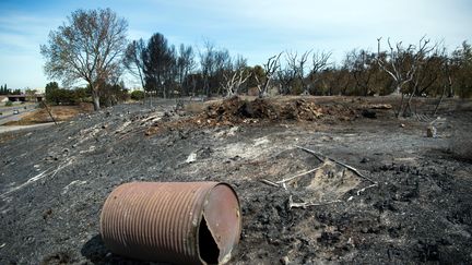 En tout plus de 3 000 hectares de garrigue et de forêt sont partis en fumée dans les Bouches-du-Rhône. Les espaces naturels détruits mettront de cinq à dix ans à se régénerer. (BERTRAND LANGLOIS / AFP)