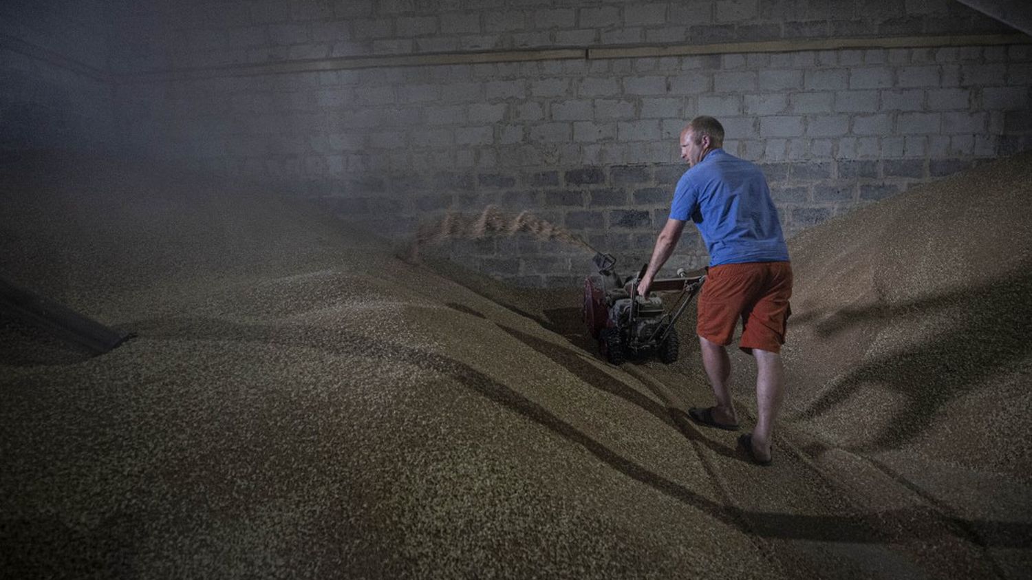 Hoe zal de graanexport “vanaf deze week” hervatten?