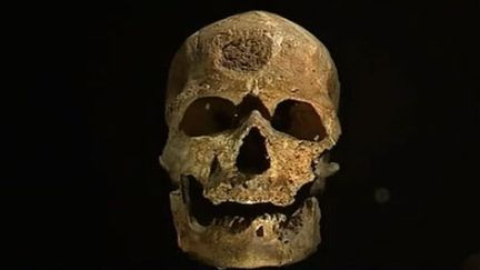 Les experts du musée de l'Homme sur les traces de nos ancêtres