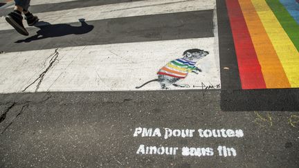 Message inscrit dans la rue, dans le quartier du Marais, à Paris (illustration). (CHRISTOPHE PETIT TESSON / EPA)