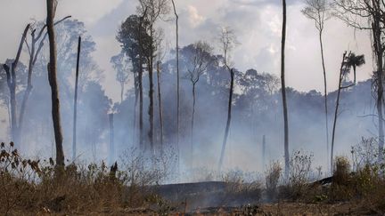 De la fumée s'échappe d'un feu près de Novo Progresso, dans l'Etat du Para, au Brésil, le 25 août 2019. (JOAO LAET / AFP)