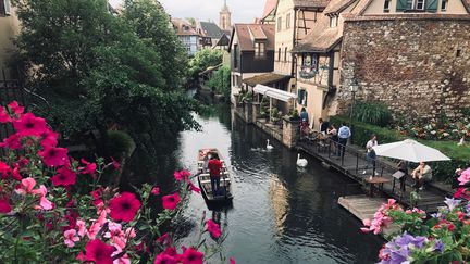 Le maire de Colmar refuse de sacrifier les parterres de la ville labellisée "quatre fleurs" à cause de la sécheresse et a demandé le 5 août une dérogation au préfet du Haut-Rhin. (GUILLAUME CHHUM / RADIO FRANCE)