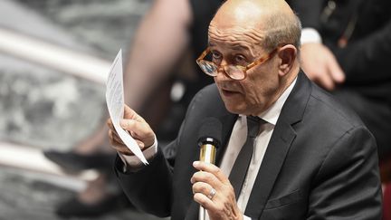 Le ministre des Affaires étrangères, Jean-Yves Le Drian, lors questions au gouvernement à l'Assemblée, le 14 février 2018.&nbsp; (BERTRAND GUAY / AFP)