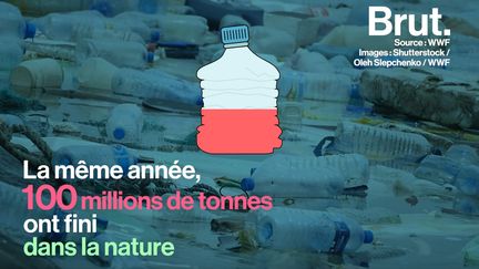 L'ONG a présenté le  "scénario 0 plastique dans la nature" qui pourrait freiner ces rejets massifs qui menacent l'environnement.