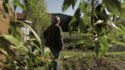 Inflation : de plus en plus de vols de légumes dans les exploitations agricoles et les jardins potagers  (FRANCE 3)