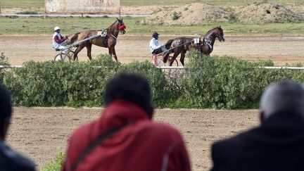 Des turfistes devant une course hippique à l'hippodrome du Caroubier, à Alger, le 29 mars 2018. (RYAD KRAMDI / AFP)