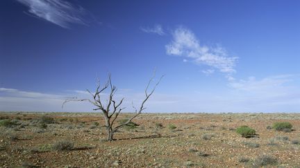 Le d&eacute;sert de l'Outback dans le sud de l'Australie. (MARK MAWSON / ROBERT HARDING HERITAGE / AFP)