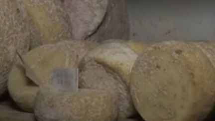 A la rencontre du seul fromager chinois de Pékin