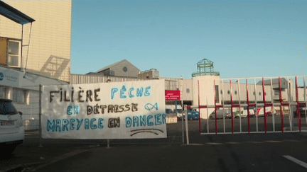 Face à de nombreuses contraintes, les pêcheurs protestent. (FRANCE 3)