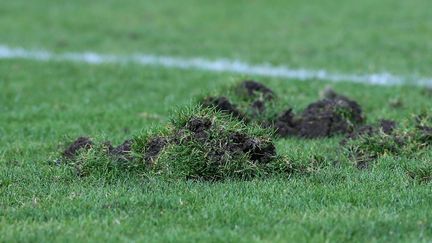 La pelouse du stade Marcel-Michelin, à Clermont-Ferrand (Puy-de-Dôme), le 12 mars 2016. (MAXPPP)