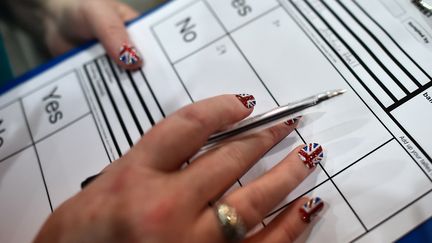 Unioniste jusqu'au bout des ongles,&nbsp;cette observatrice du scrutin v&eacute;rifie le d&eacute;pouillement du vote &agrave; Aberdeen. (BEN STANSALL / AFP)