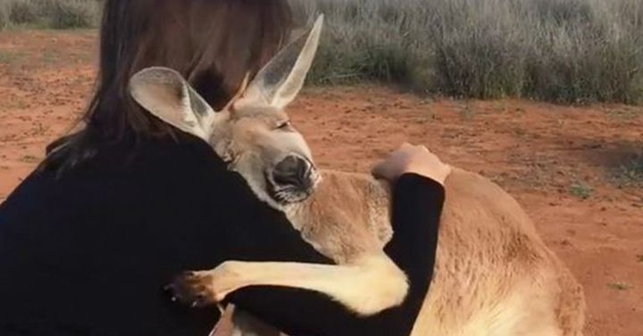 Entre septembre et décembre 2019, cette photo a été partagée plusieurs milliers de fois sur les réseaux sociaux pour alerter sur la situation en Australie, en proie à de violents incendies. Elle date en réalité de 2016. (CAPTURE D'ÉCRAN)