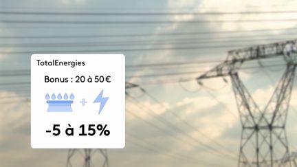 Économie d'énergie : les fournisseurs récompensent les clients les moins énergivores (France 2)