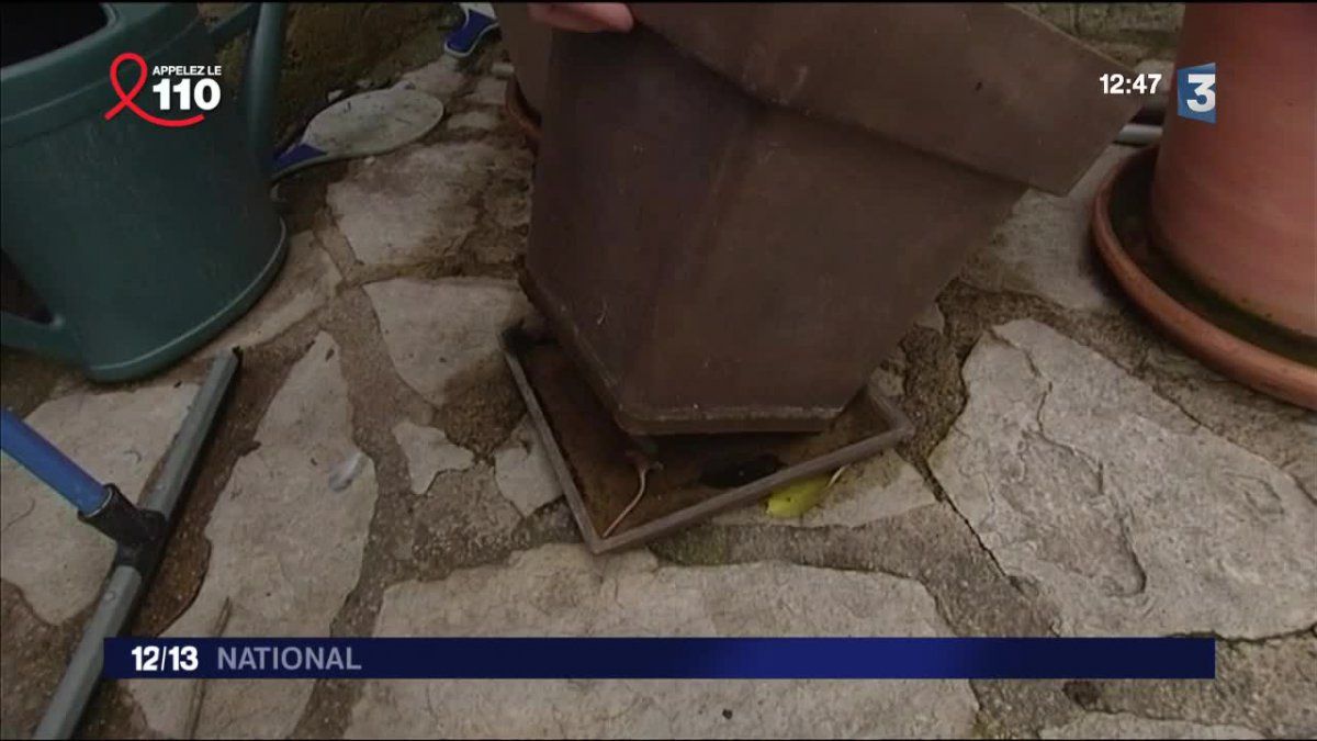 La mairie de Vence prend un arrêté anti-moustique - France Bleu