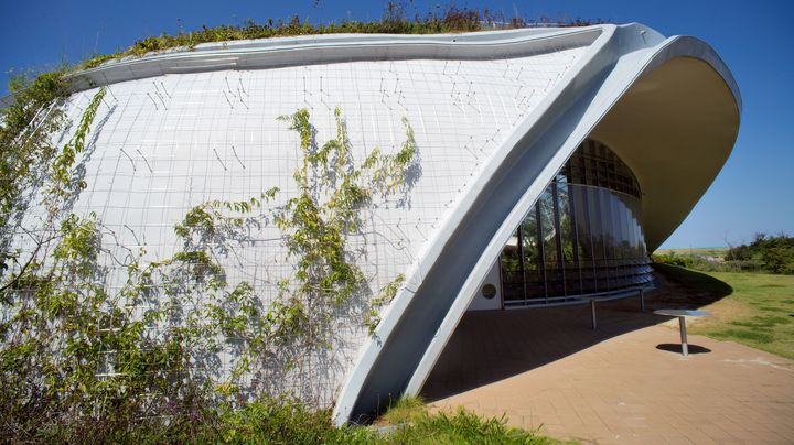 Situ&eacute; dans la ville de Fukuoka, dans le sud du Japon, "Gurin Gurin" est un &eacute;coparc couvert, construit sur une &icirc;le artificielle. (JPDN / SIPA)